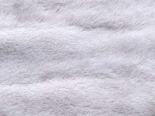 动物皮毛地毯贴图下载_动物皮毛地毯材质贴图免费下载_id:10166_牛模